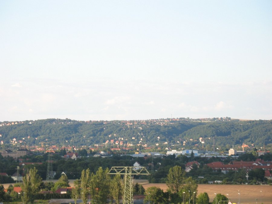 IMG_5279.JPG