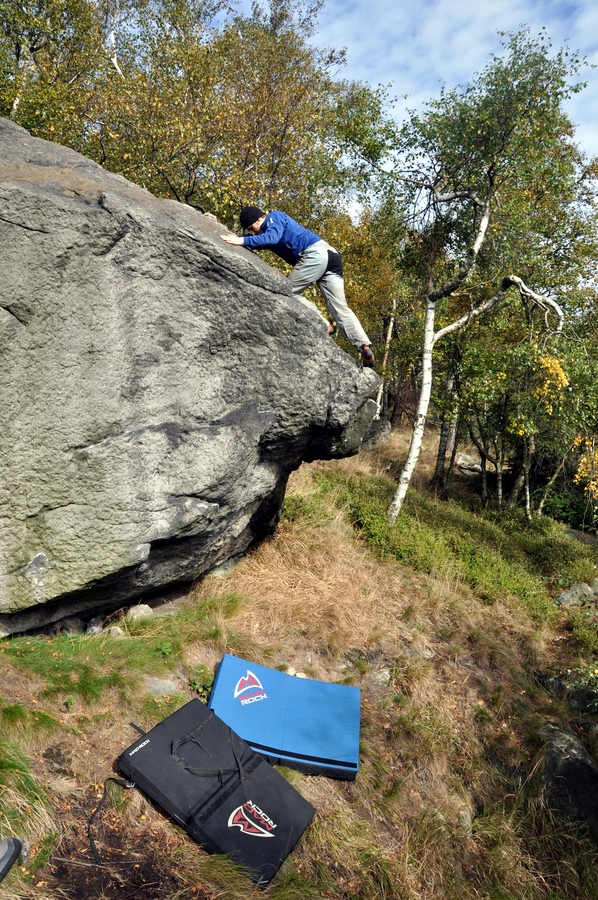 hDSC_8438.JPG