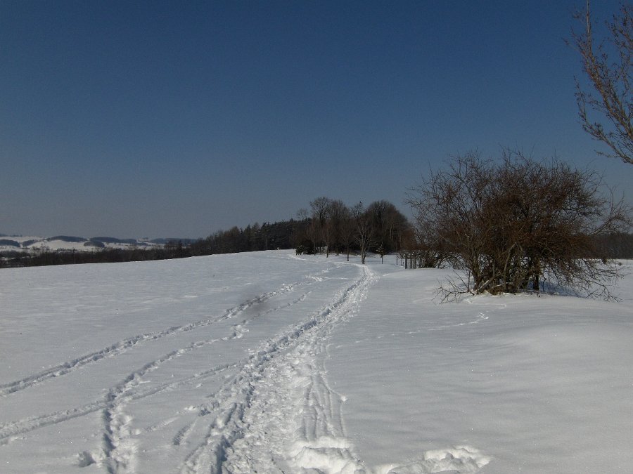 HPIM4058.JPG