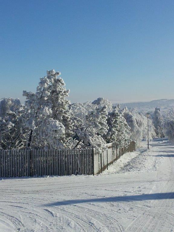 20140125_105840.jpg