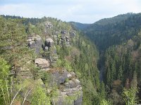 IMG_5505