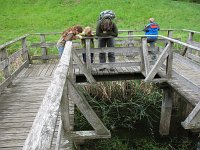 IMG_5613