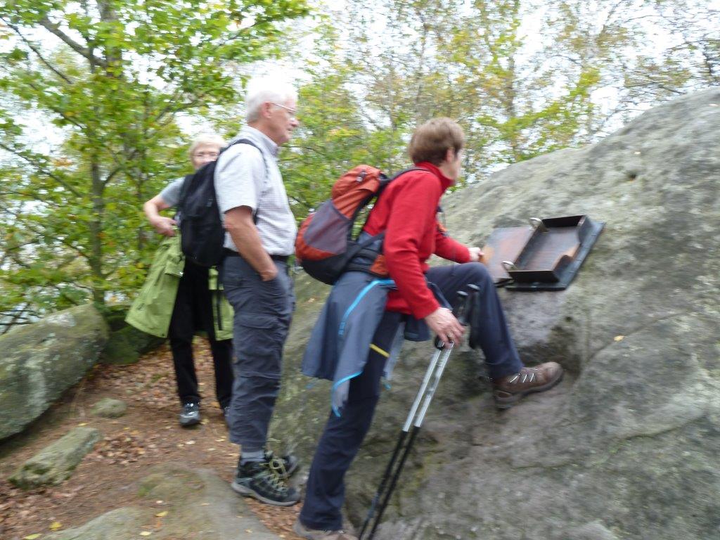 P1040201.jpg