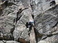 IMG_6239