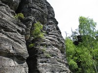 IMG_6308