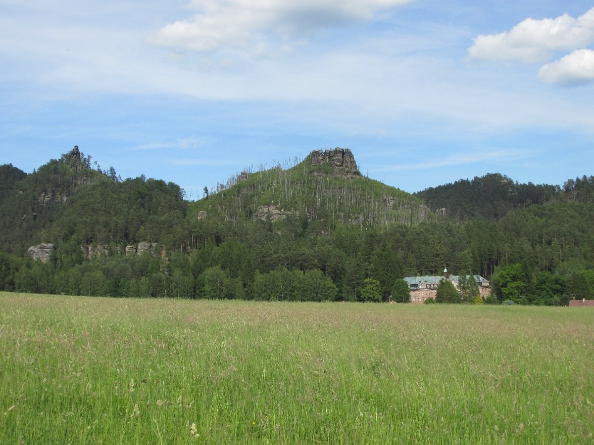 IMG_4354.JPG