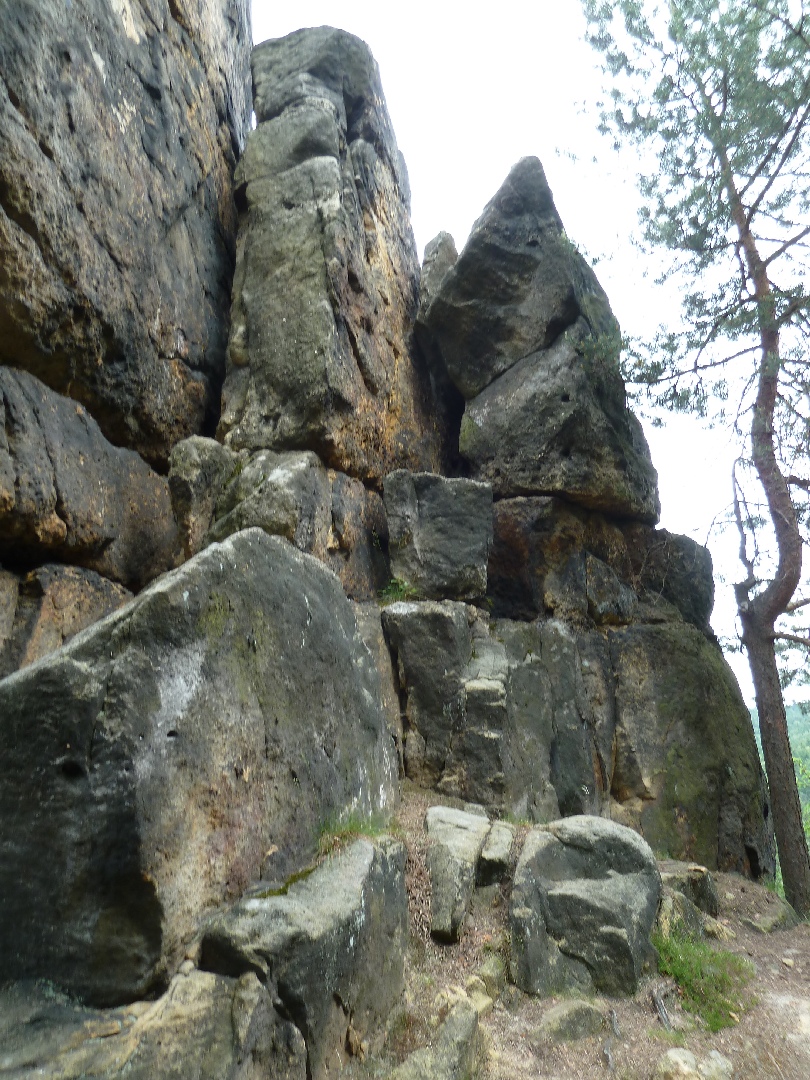 P1050868.JPG
