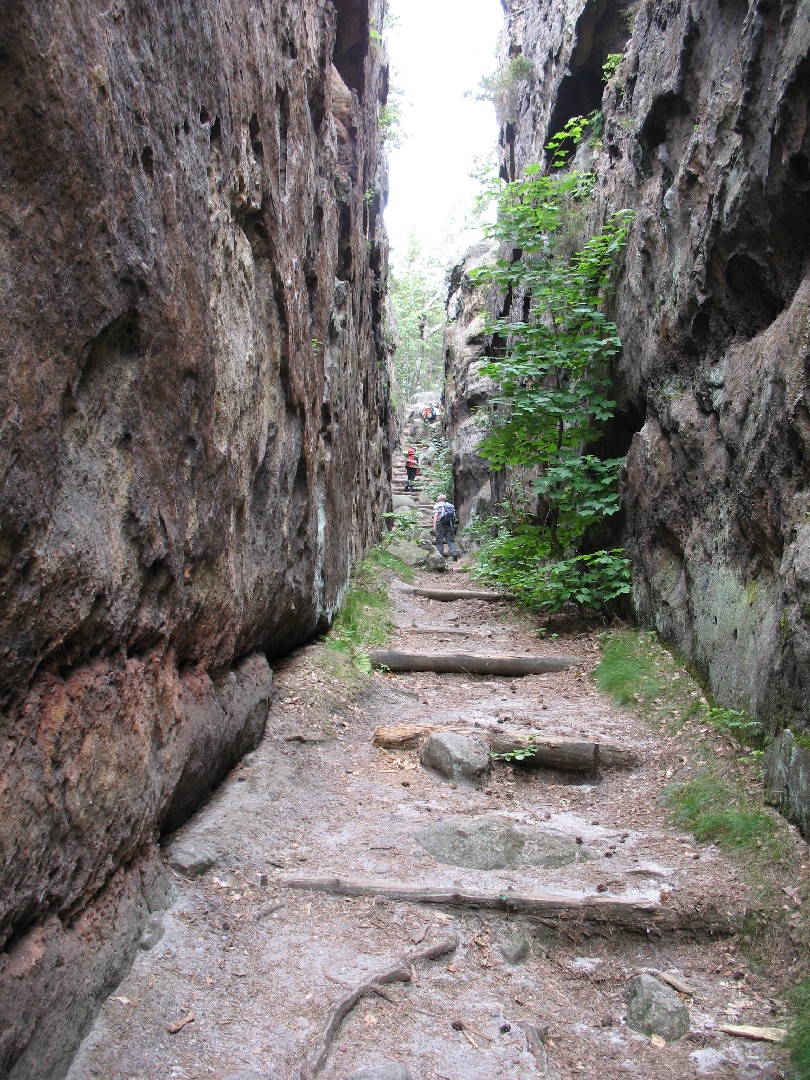 IMG_7090.JPG