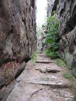IMG_7090