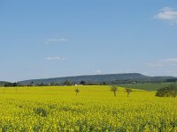 IMG_6940