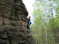 IMG_7015