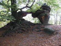 IMG_7674