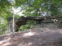 IMG_7677