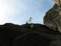 IMG_7685