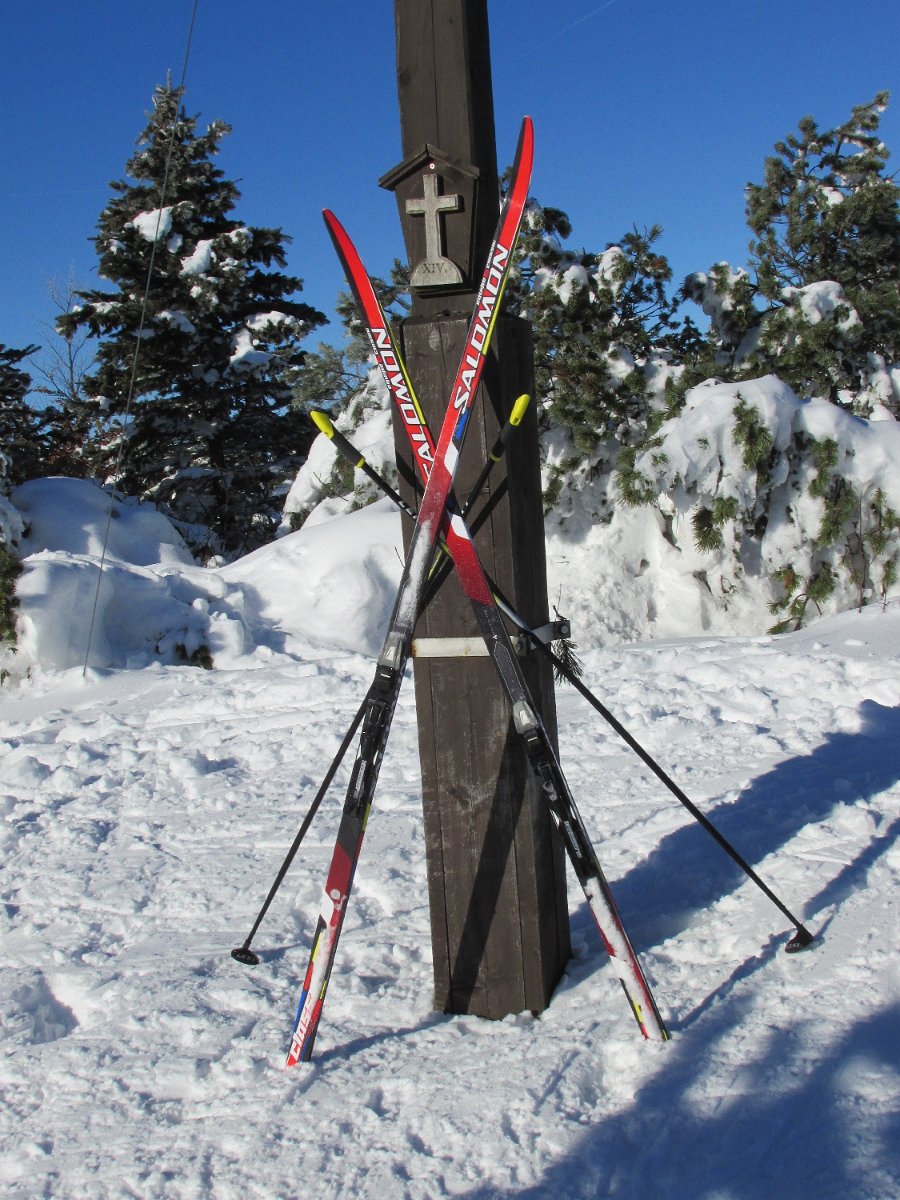 IMG_5004.JPG
