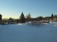 IMG_5016