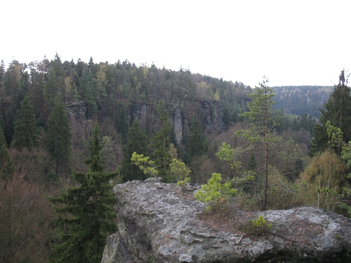 IMG_7794.JPG