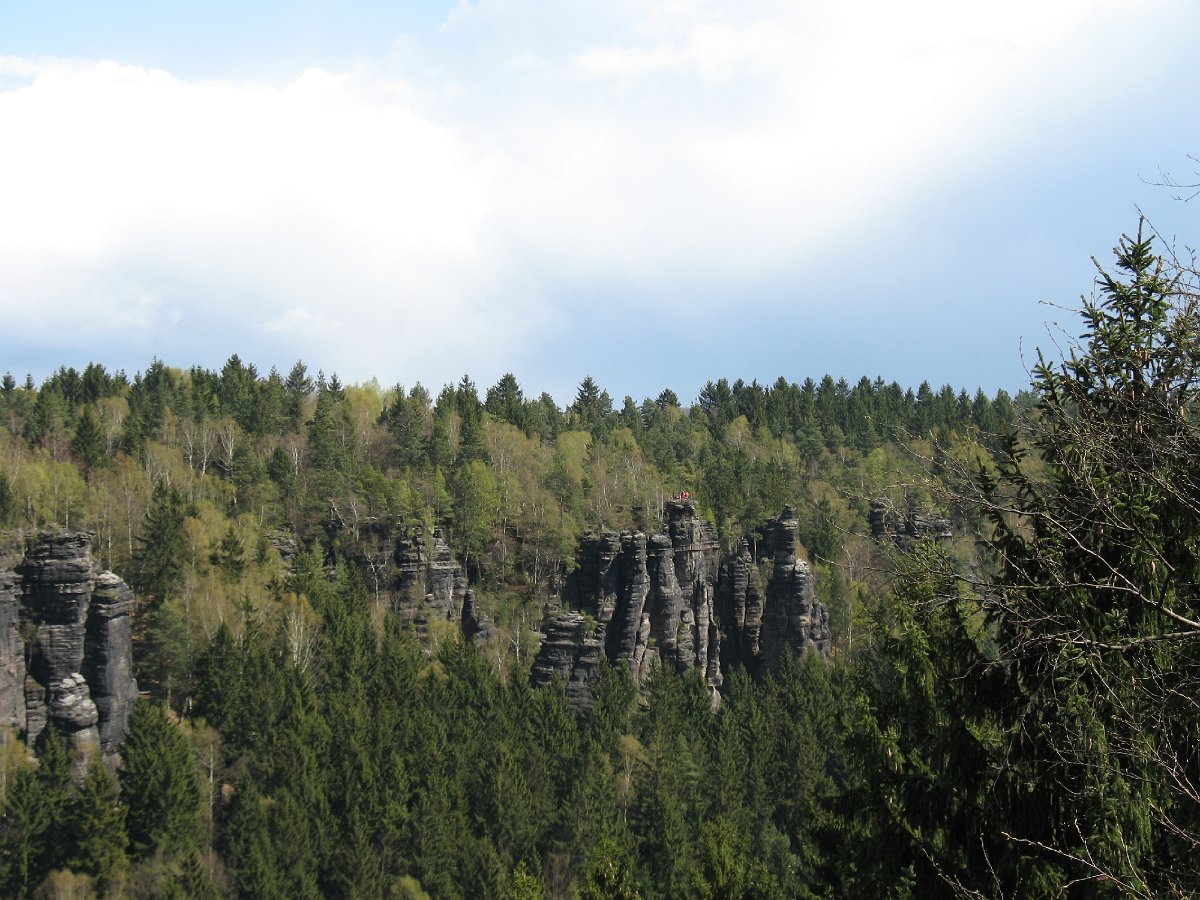 IMG_7818.JPG