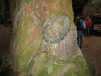 IMG_7793a